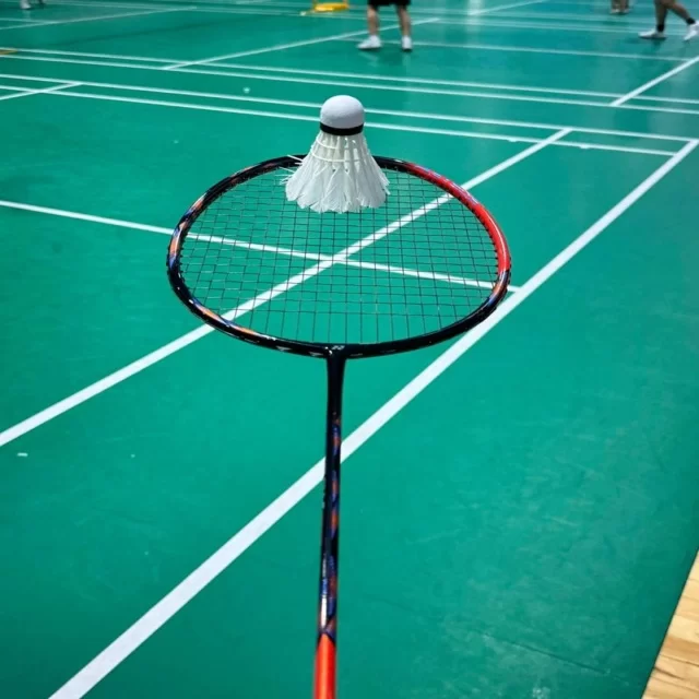 张雨霏强势回归展现无限潜力
